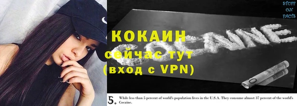 винт Дмитриев