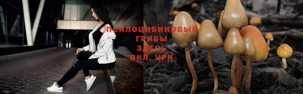 амф Елизово