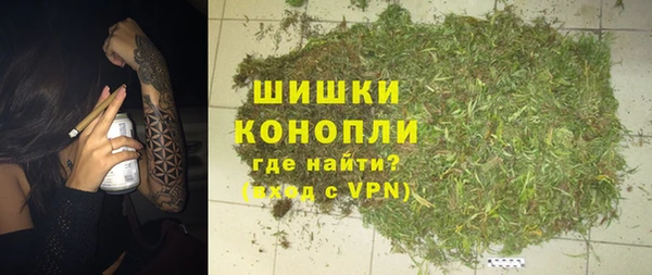 винт Дмитриев