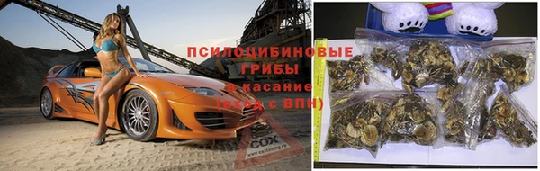 экстази Дмитров
