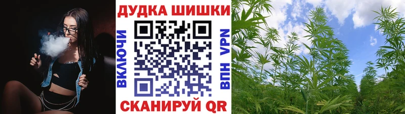 Купить  Кологрив  Конопля Amnesia 